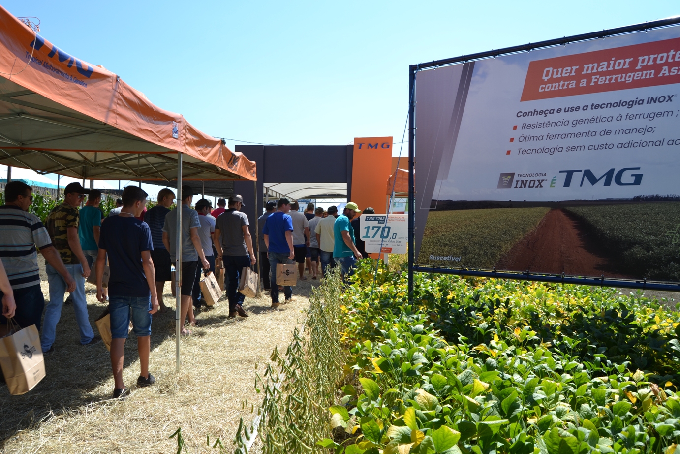 Lançamentos de soja da TMG são apresentados no BelaSafra e Agro Ferrari no Campo